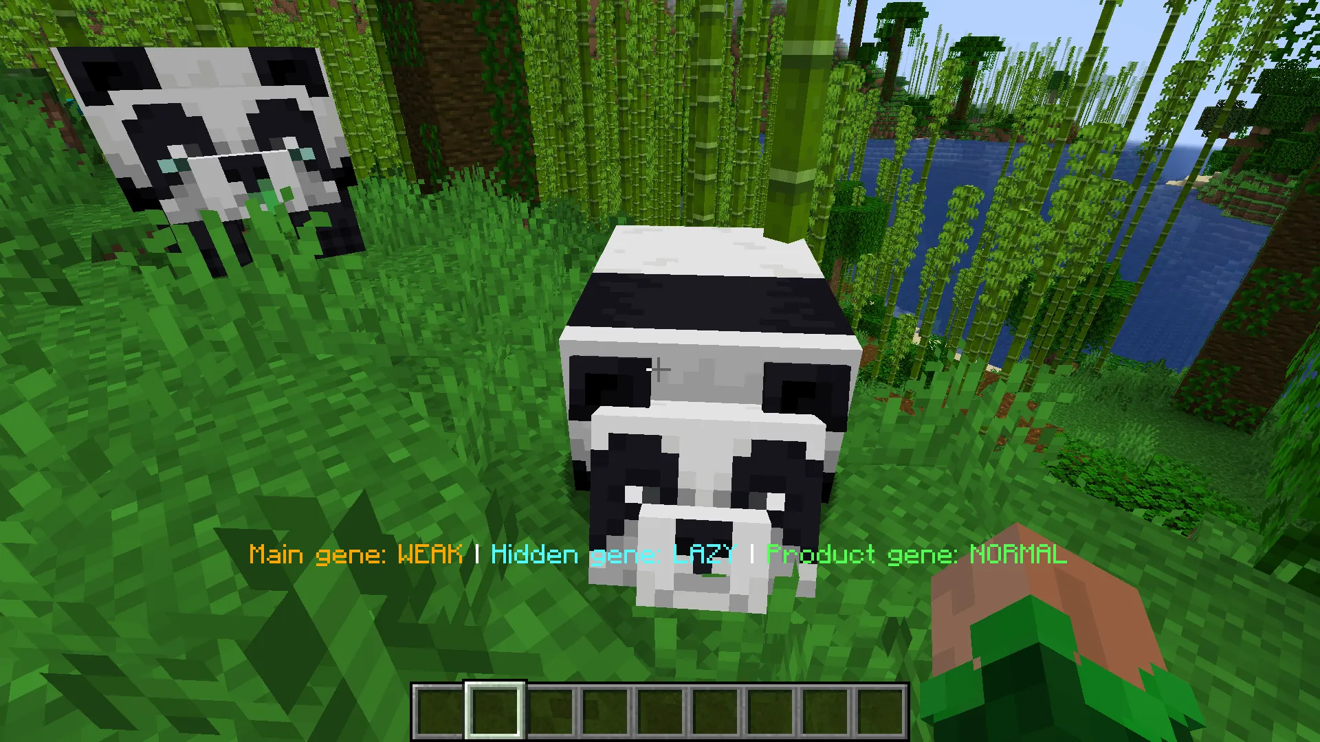Panda Info, Моды, Minecraft