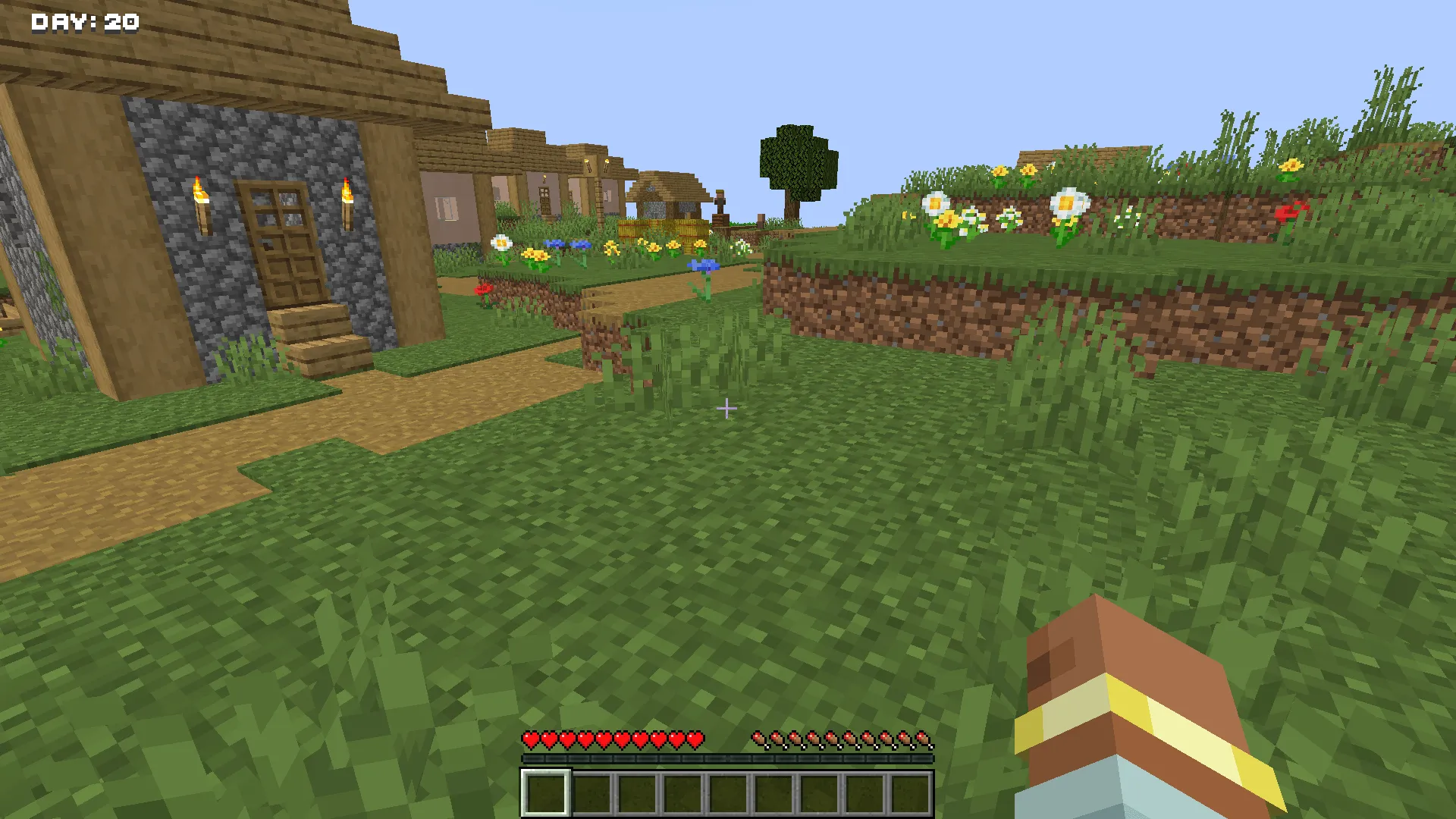 Counter Day, Моды, Minecraft