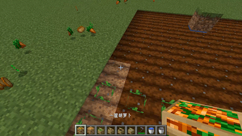 exquisite packing, Моды, Minecraft