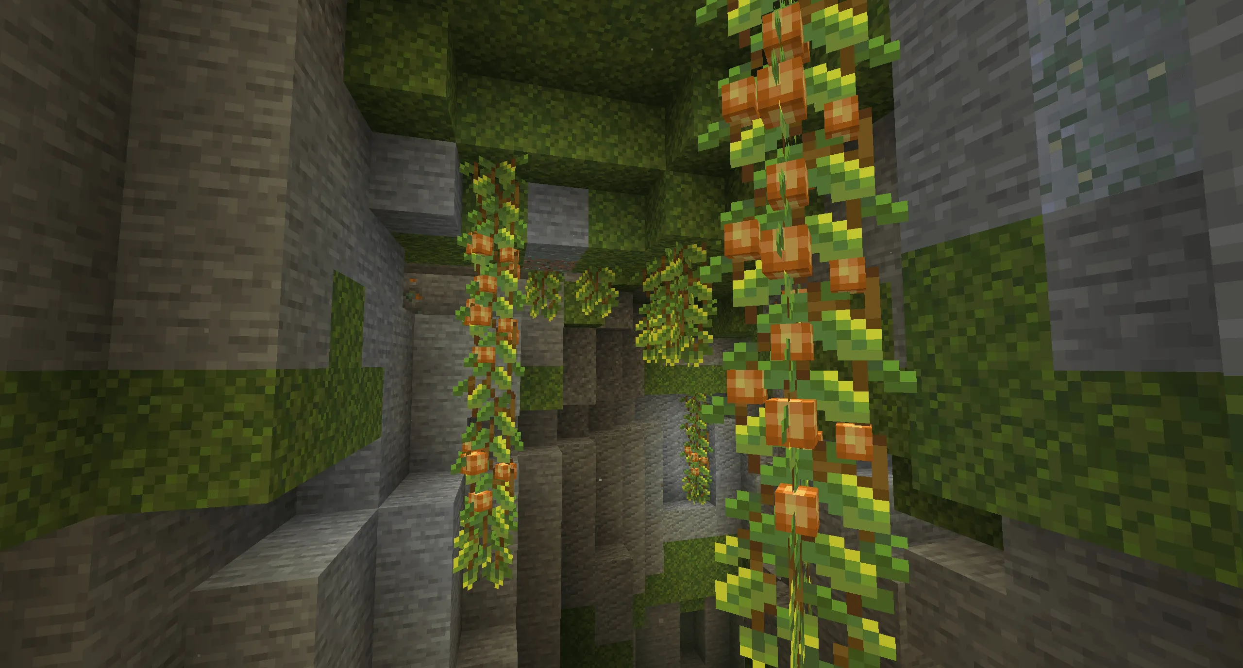 Cave Vines 3D — скриншот 4 (Текстуры, Minecraft)