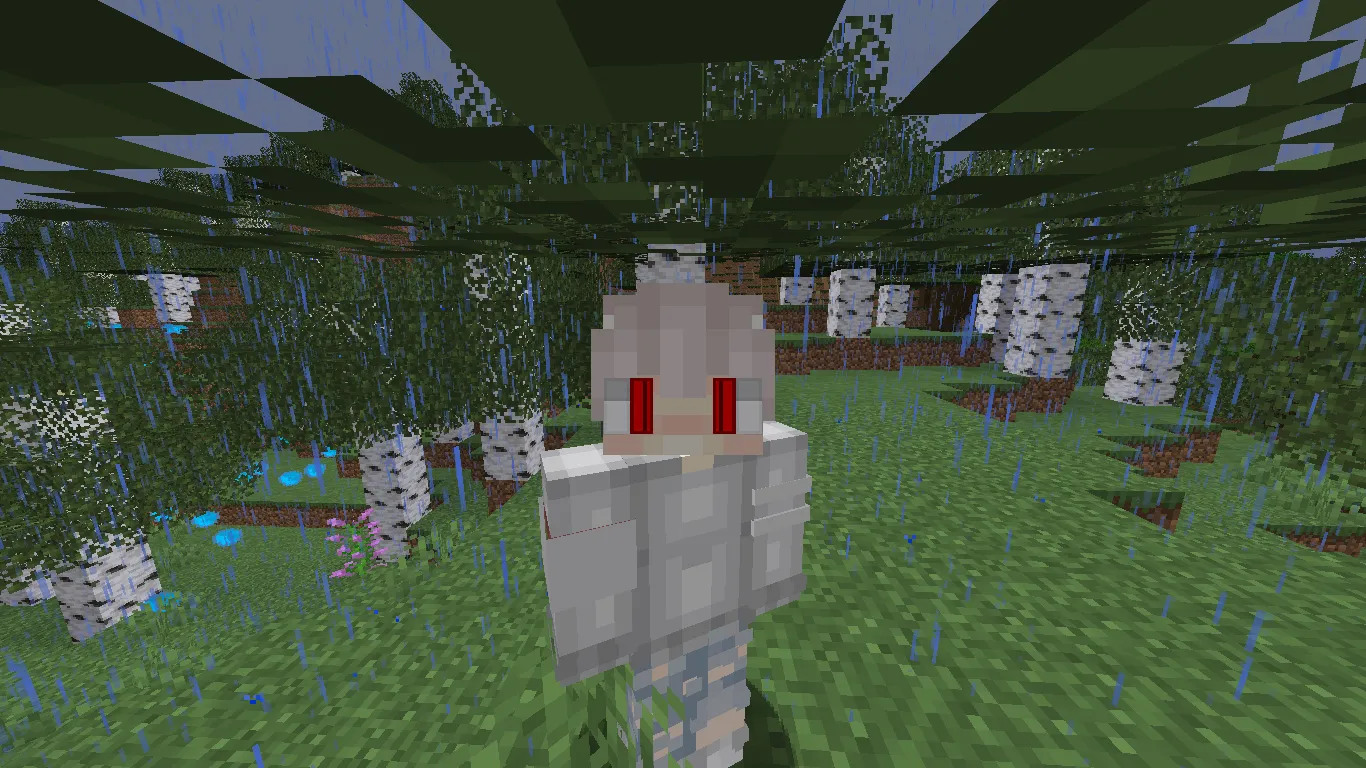 ShinobiLand, Моды, Minecraft