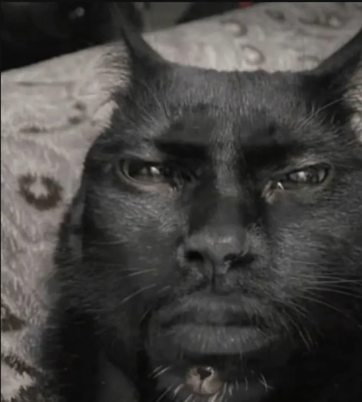 The Meme From The Shadow, Моды, Minecraft