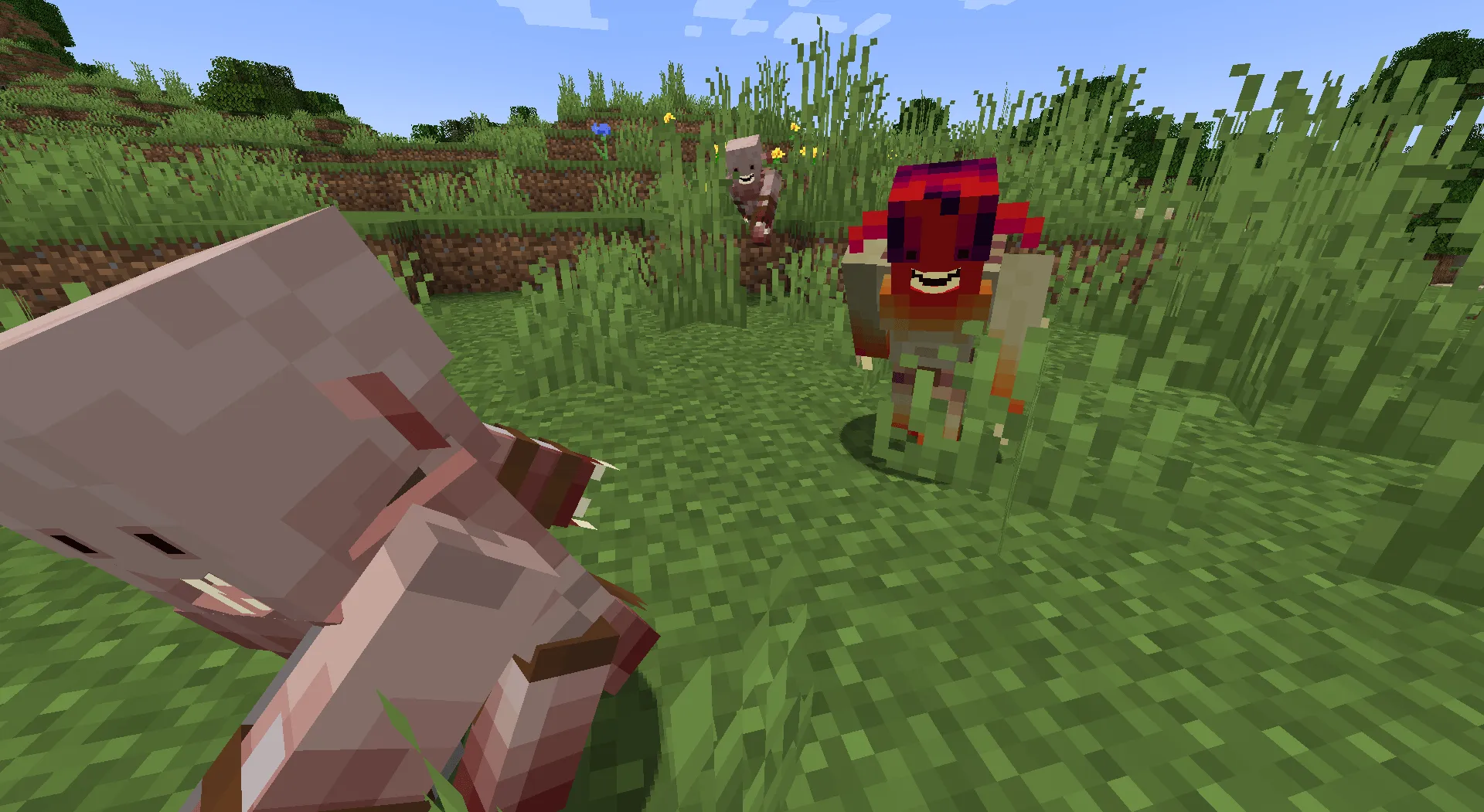 The Conjunction of the  Spheres - A Witcher World, Моды, Minecraft