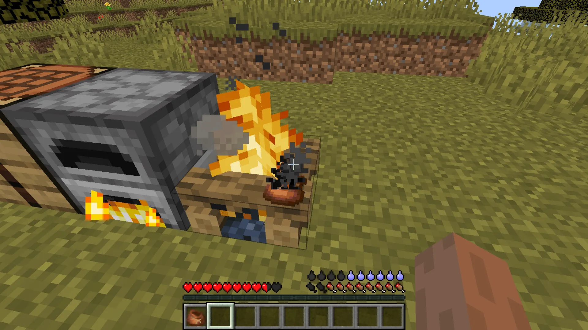 Dehydrated, Моды, Minecraft