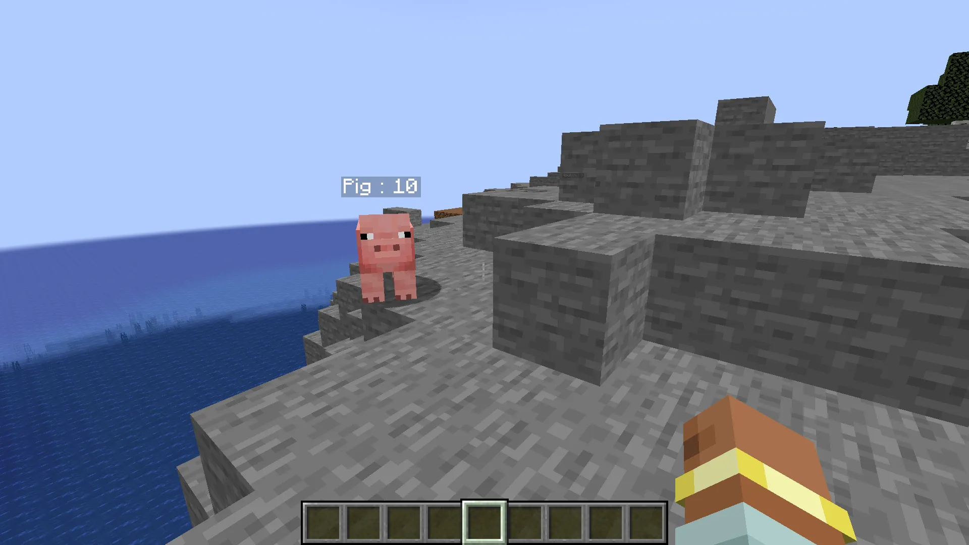 Health Tag, Моды, Minecraft