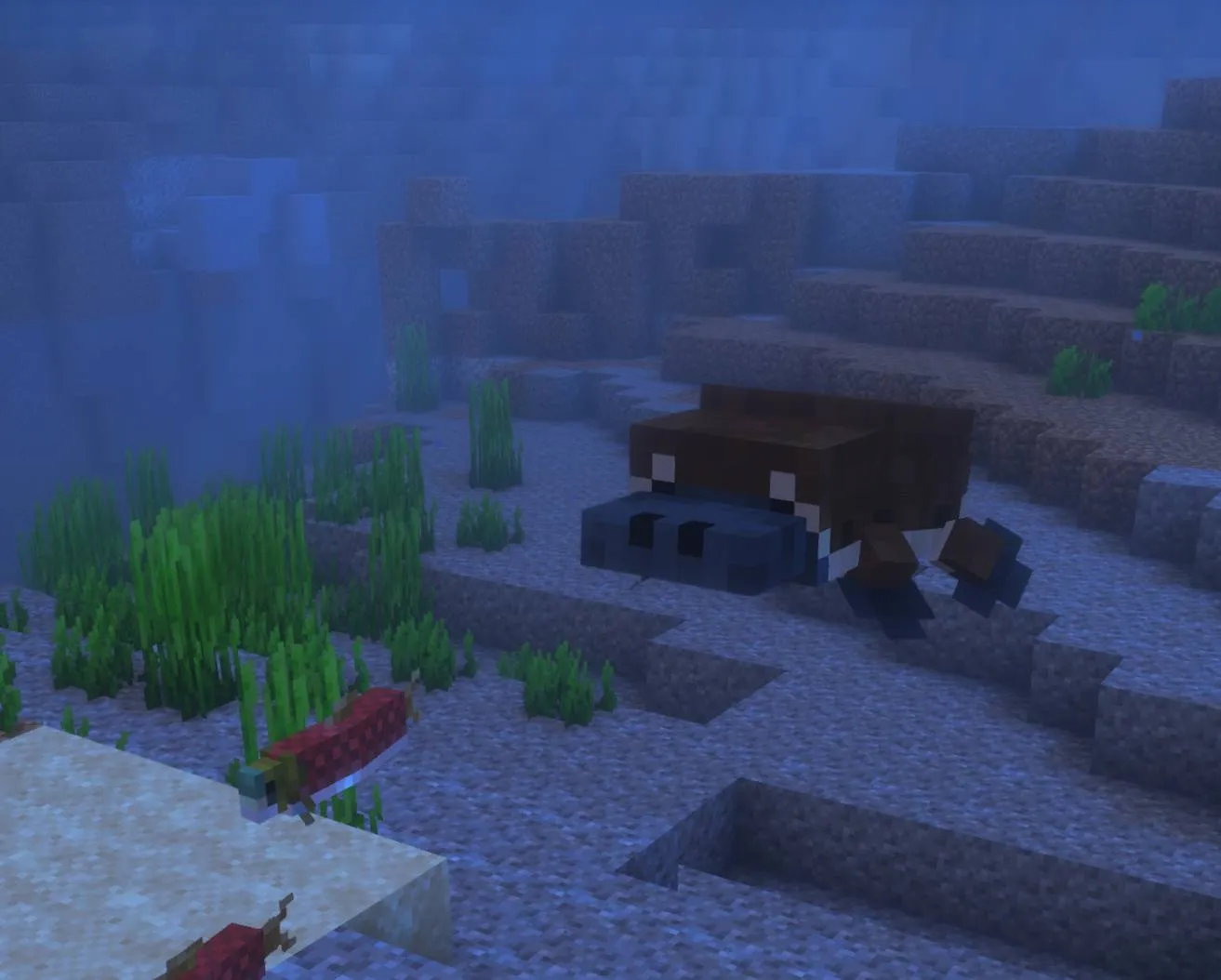 Platylotl | Axolotl to Platypus Conversion — скриншот 1 (Текстуры, Minecraft)