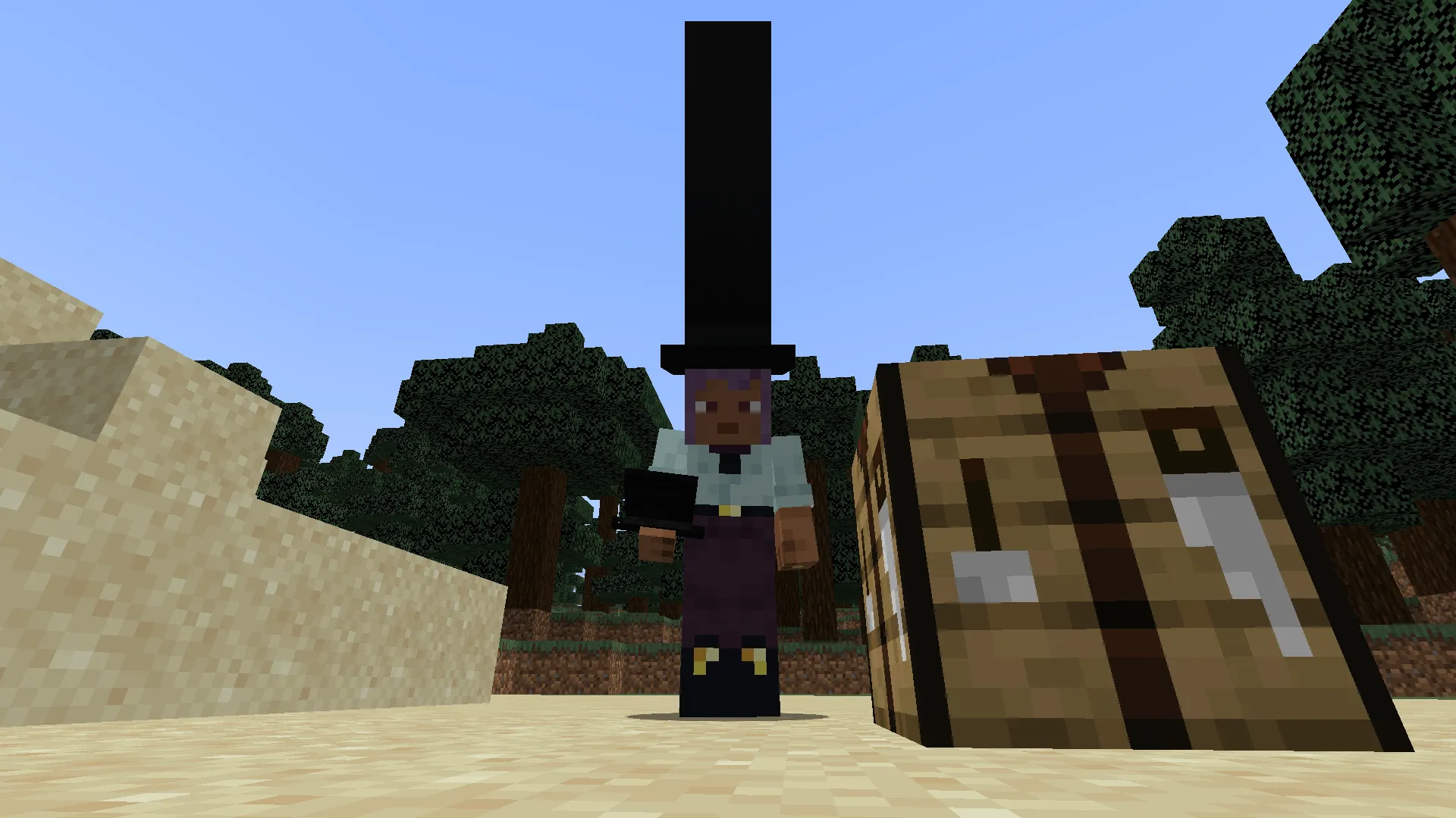 Long Cool Hat, Моды, Minecraft