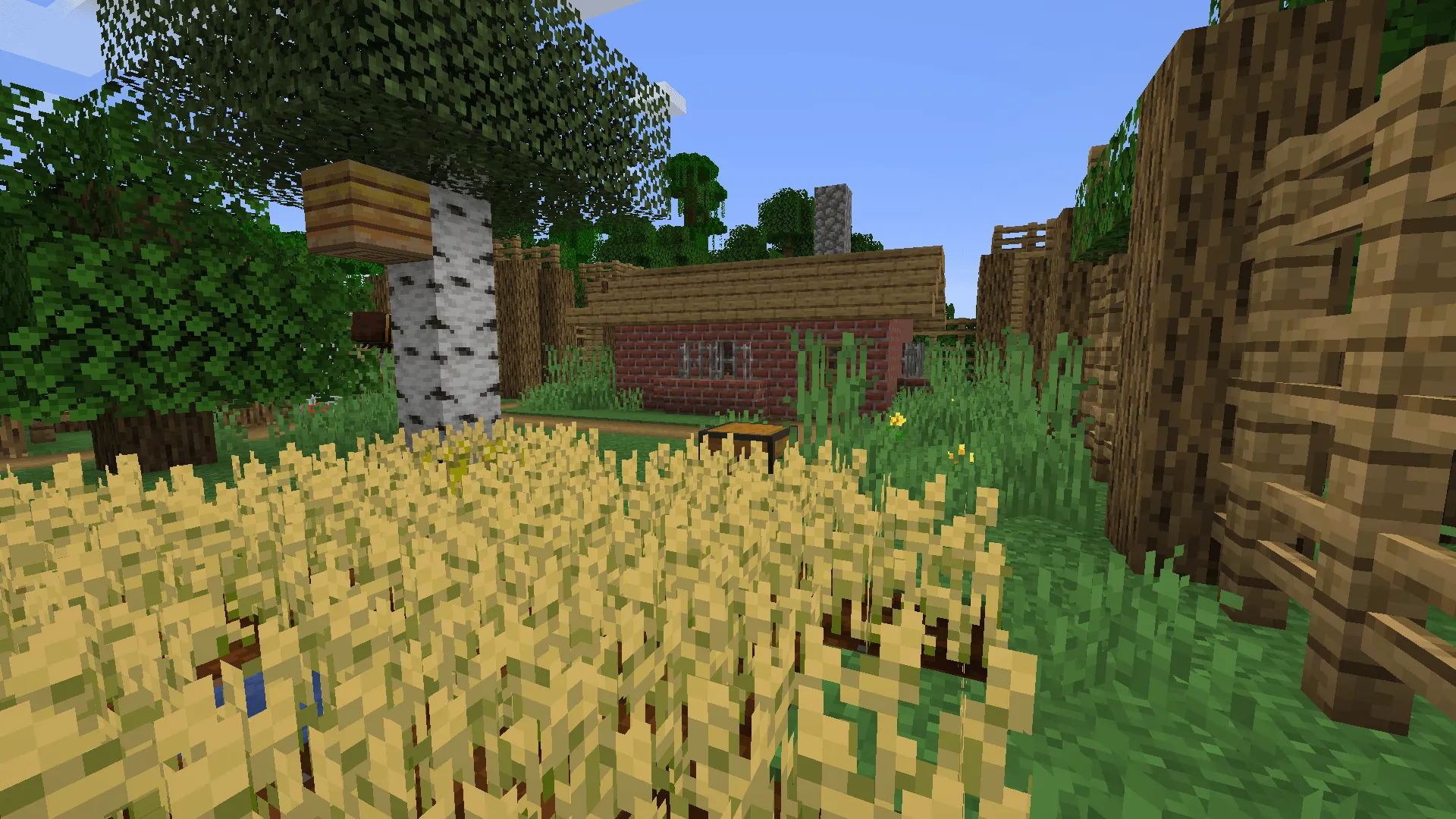 The Lost City, Моды, Minecraft