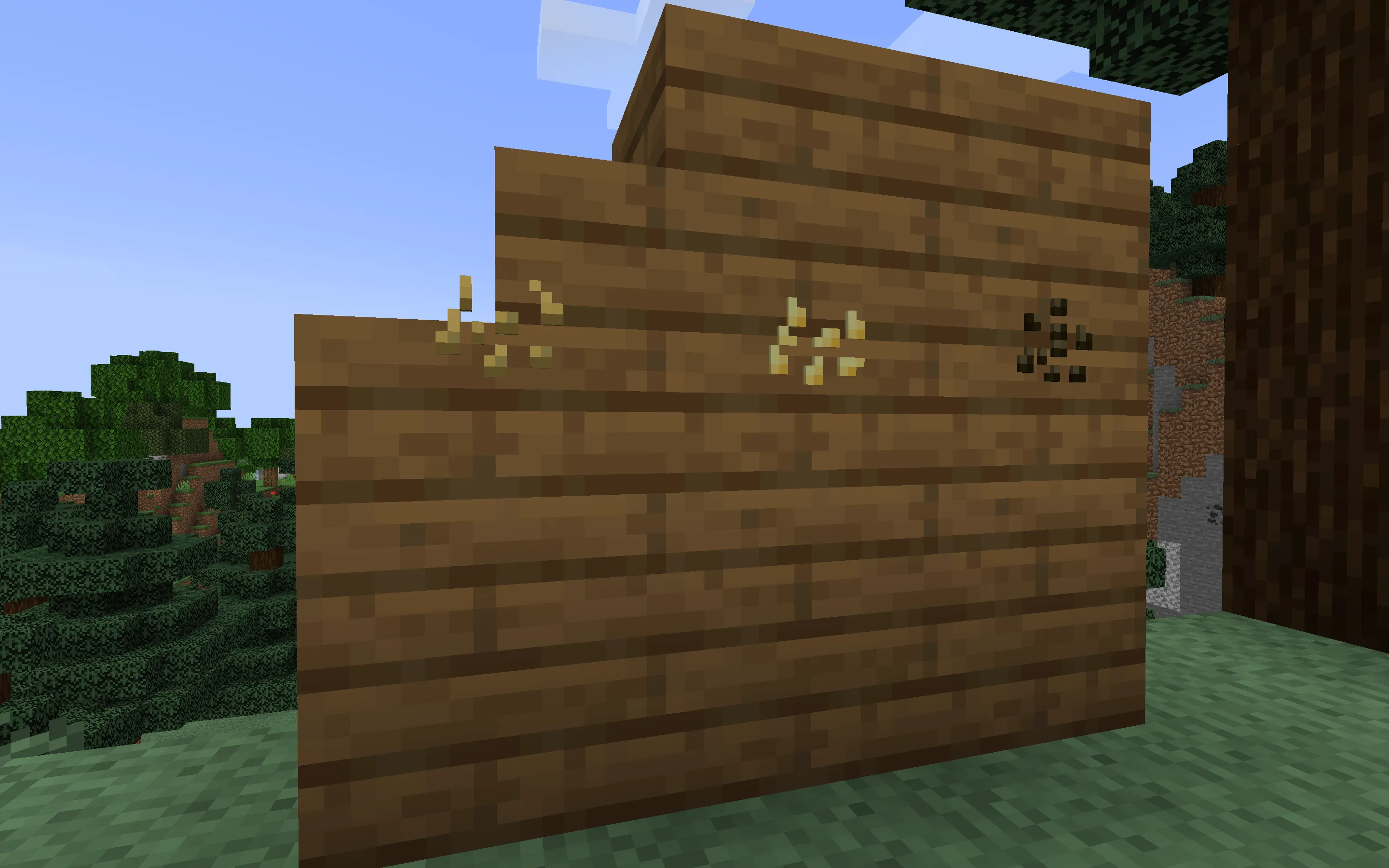 Updated Seeds, Текстуры, Minecraft