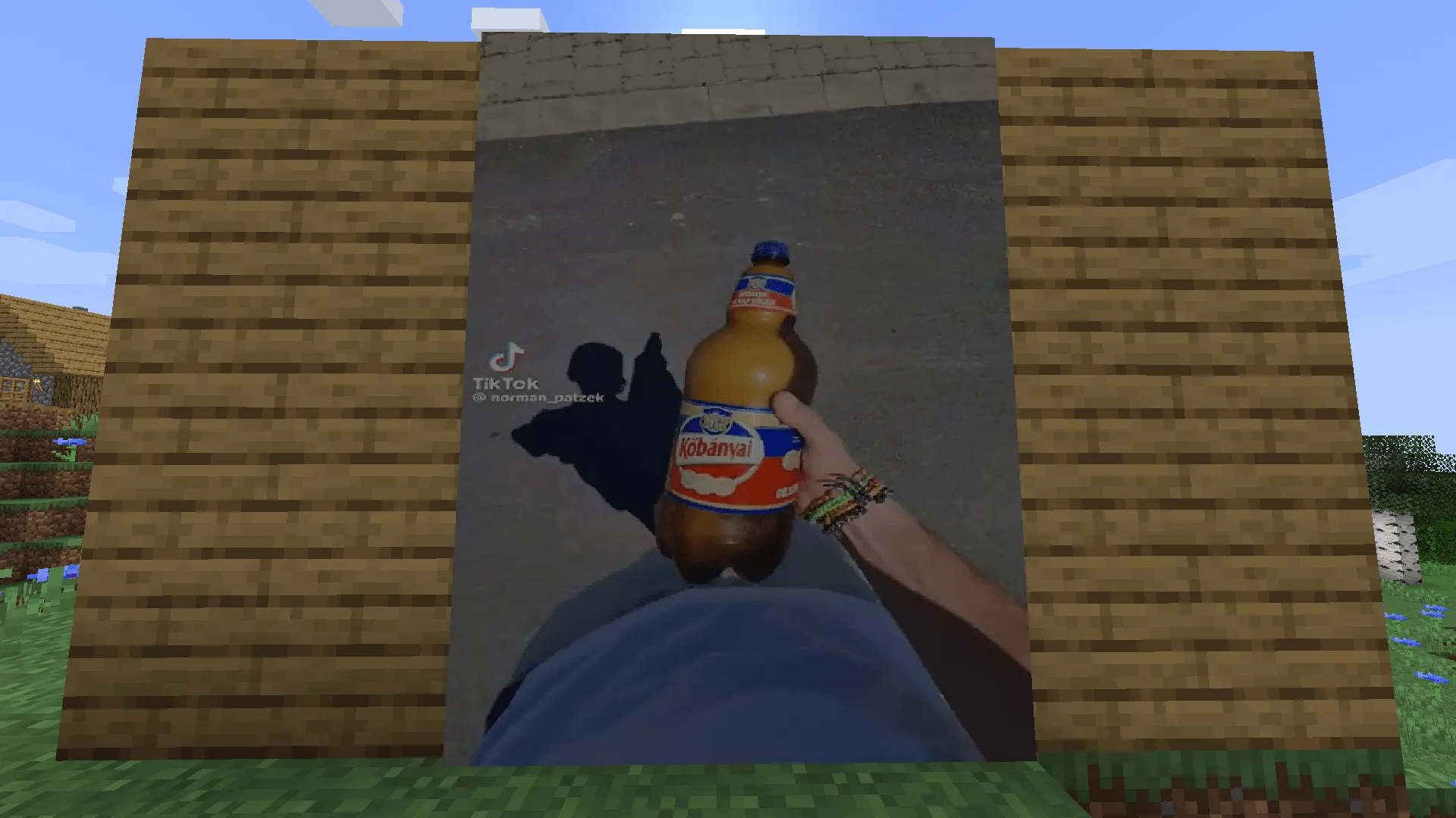 Kőbambi, Текстуры, Minecraft