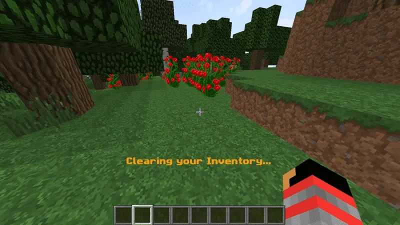 AnimatedInventory, Плагины, Minecraft