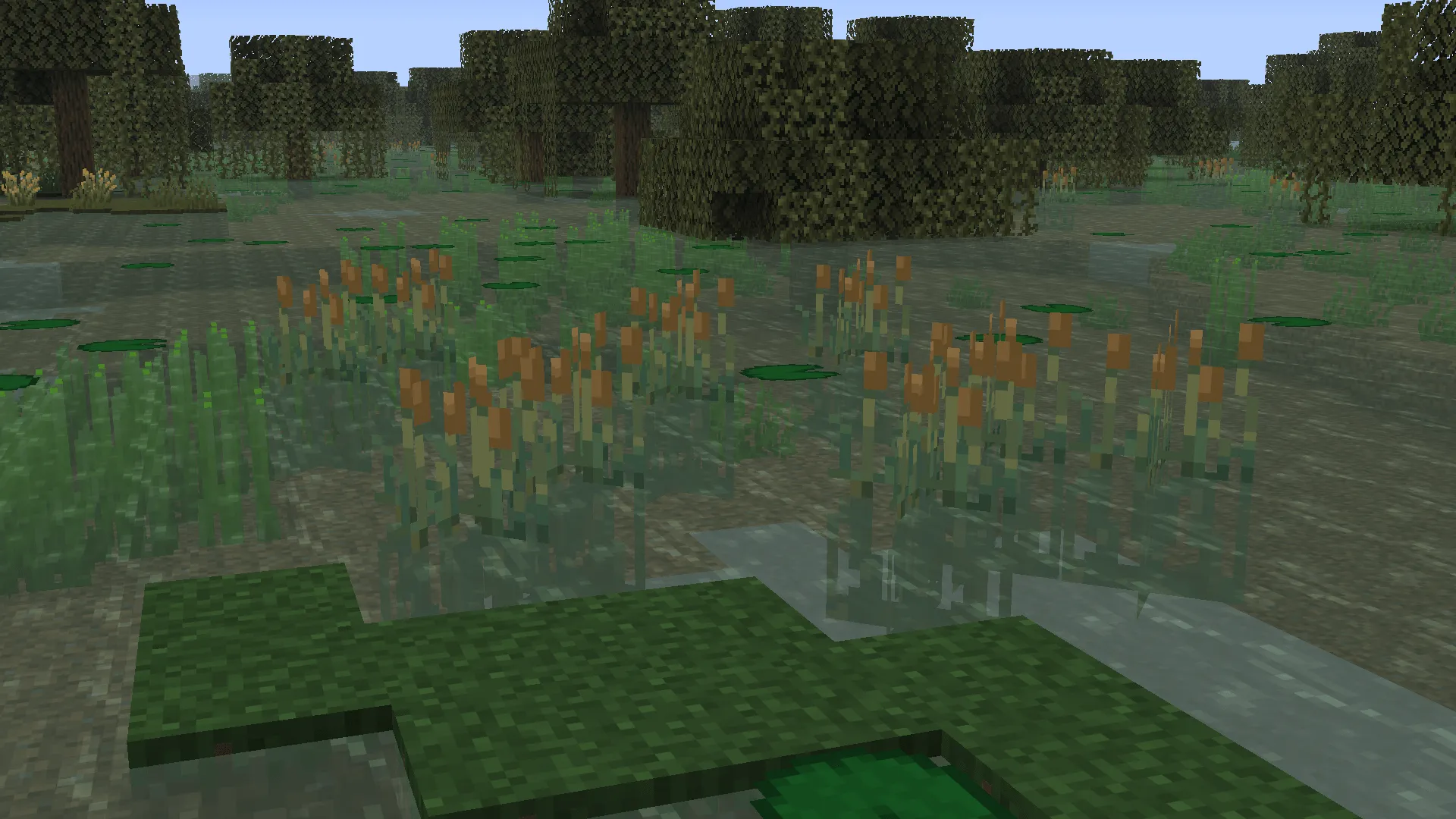 Subtly Dungeons, Моды, Minecraft