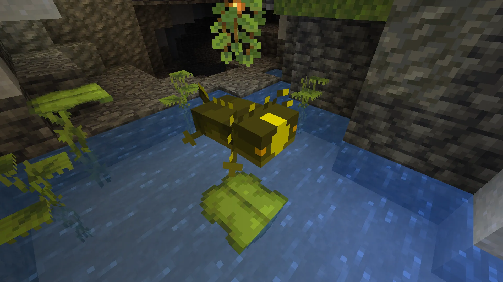 Lissiceous Axolotls, Текстуры, Minecraft