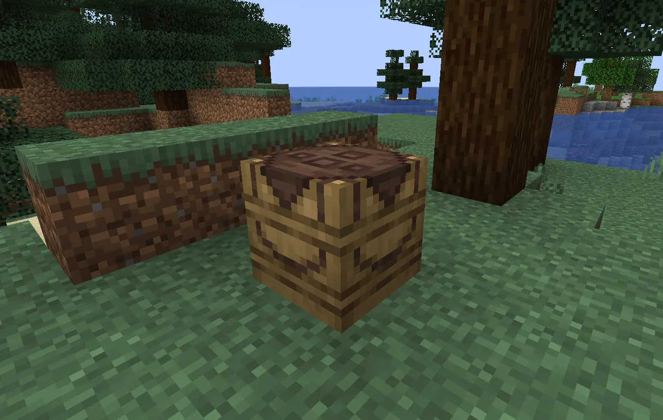 JBackpack, Моды, Minecraft