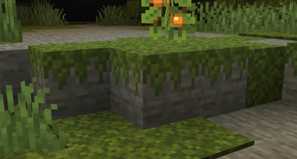 Tom's Improvements, Текстуры, Minecraft