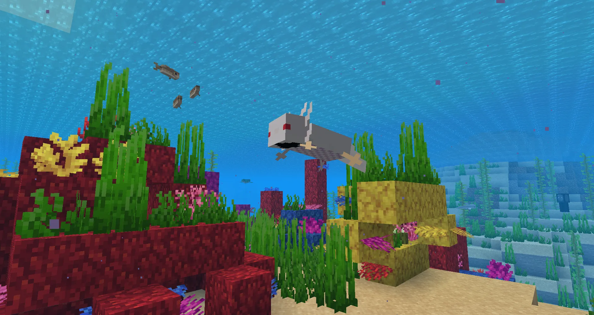 Holo Axolotl (require Optifine), Текстуры, Minecraft