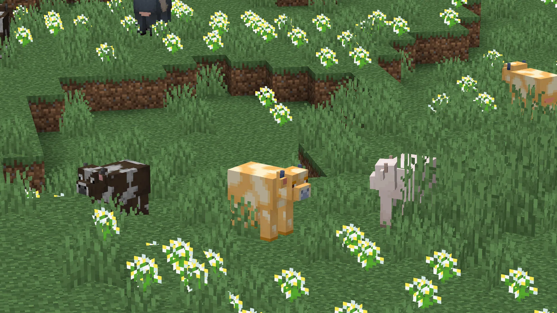 Dani's Livestock Revamp (JEMs), Текстуры, Minecraft