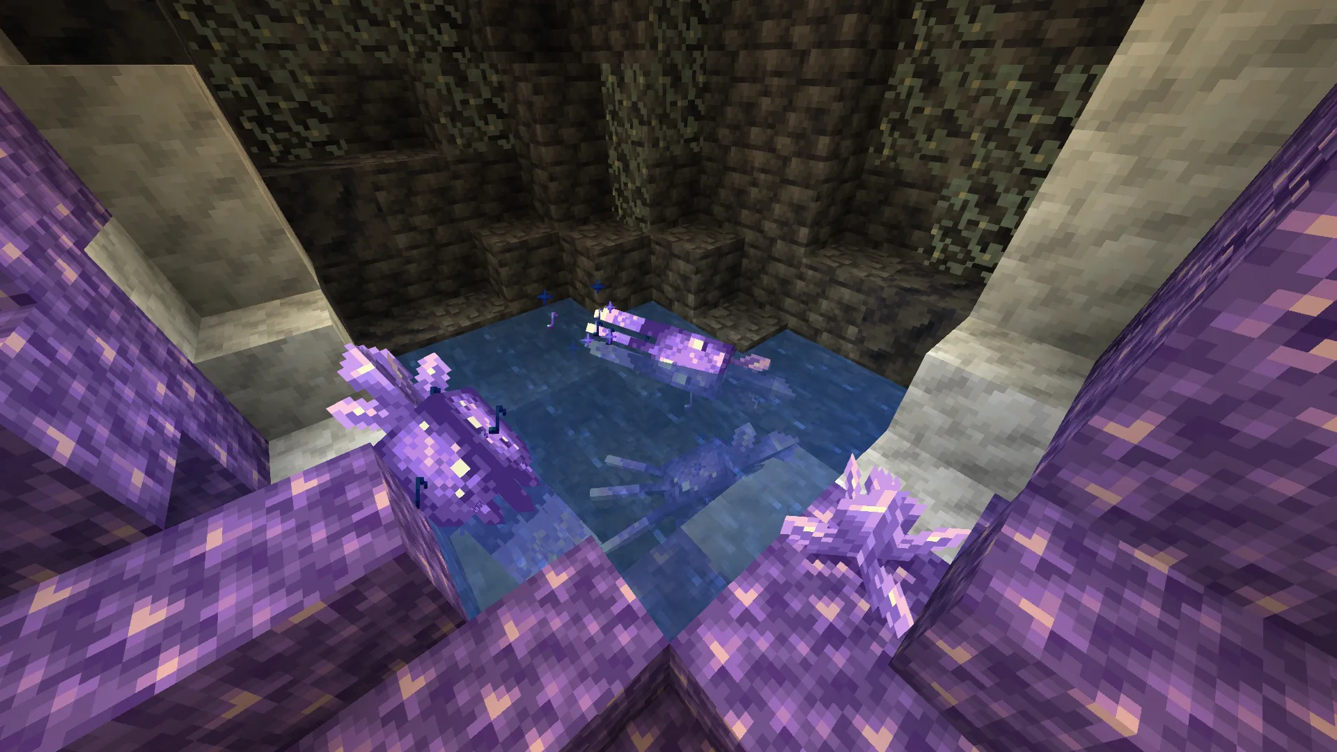 Glowmethyst Squid, Текстуры, Minecraft