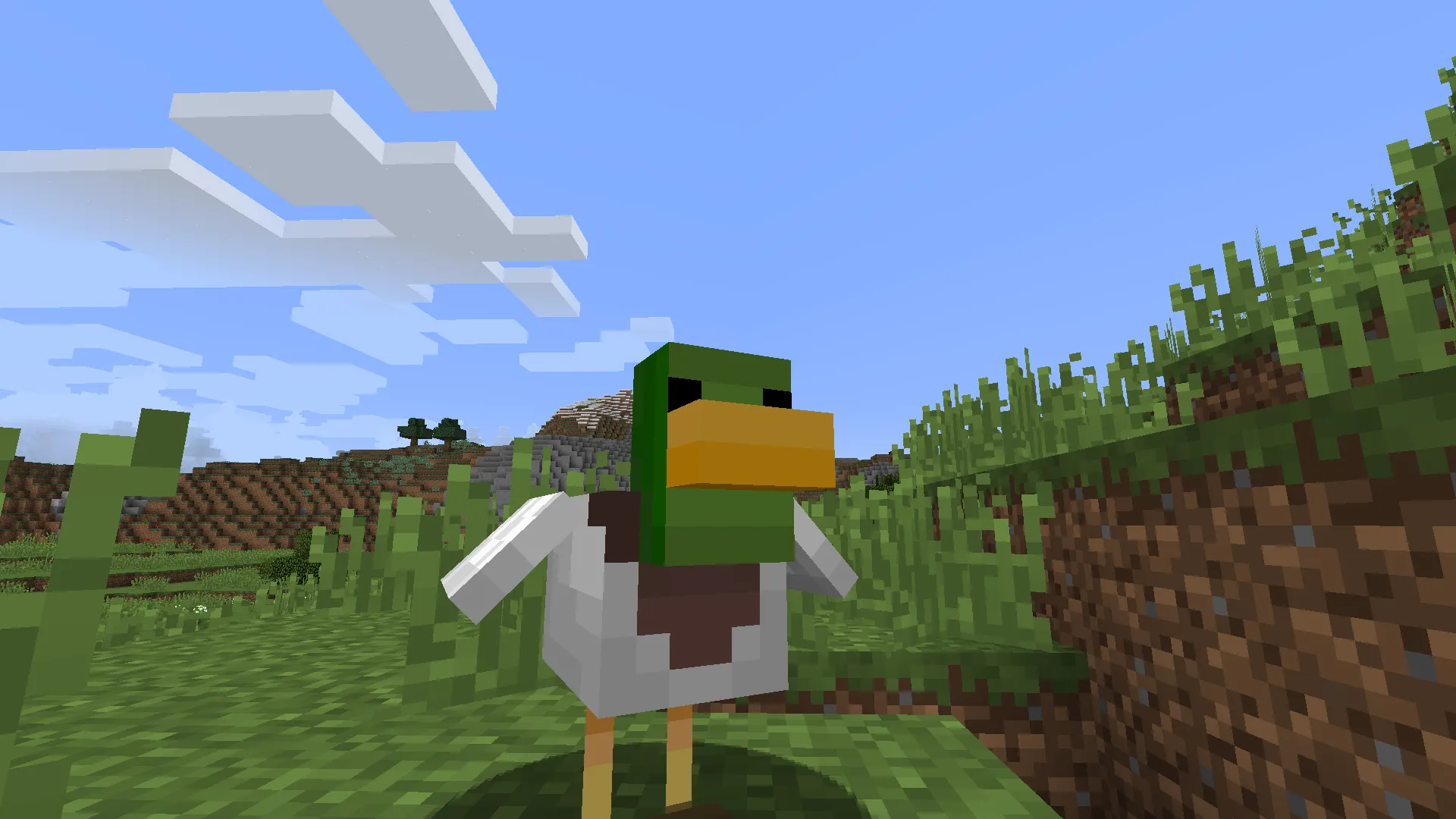 Butcher Nish, Моды, Minecraft