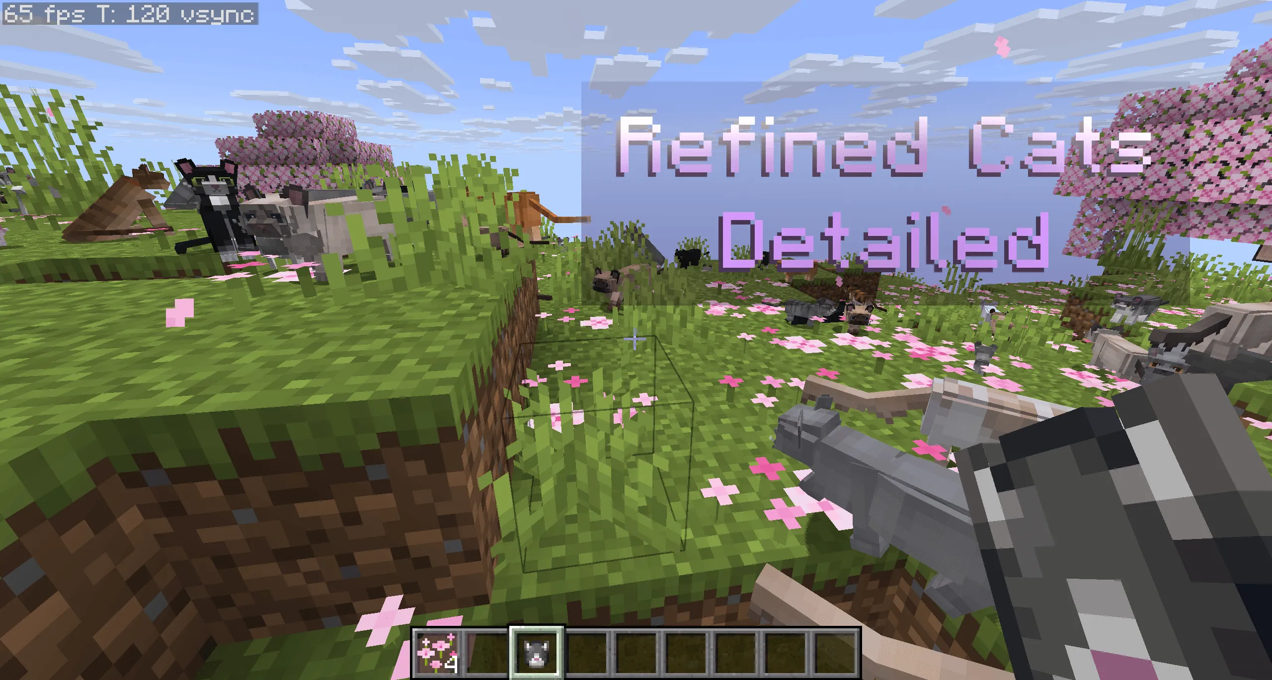Refined Cats: Lithe, Текстуры, Minecraft