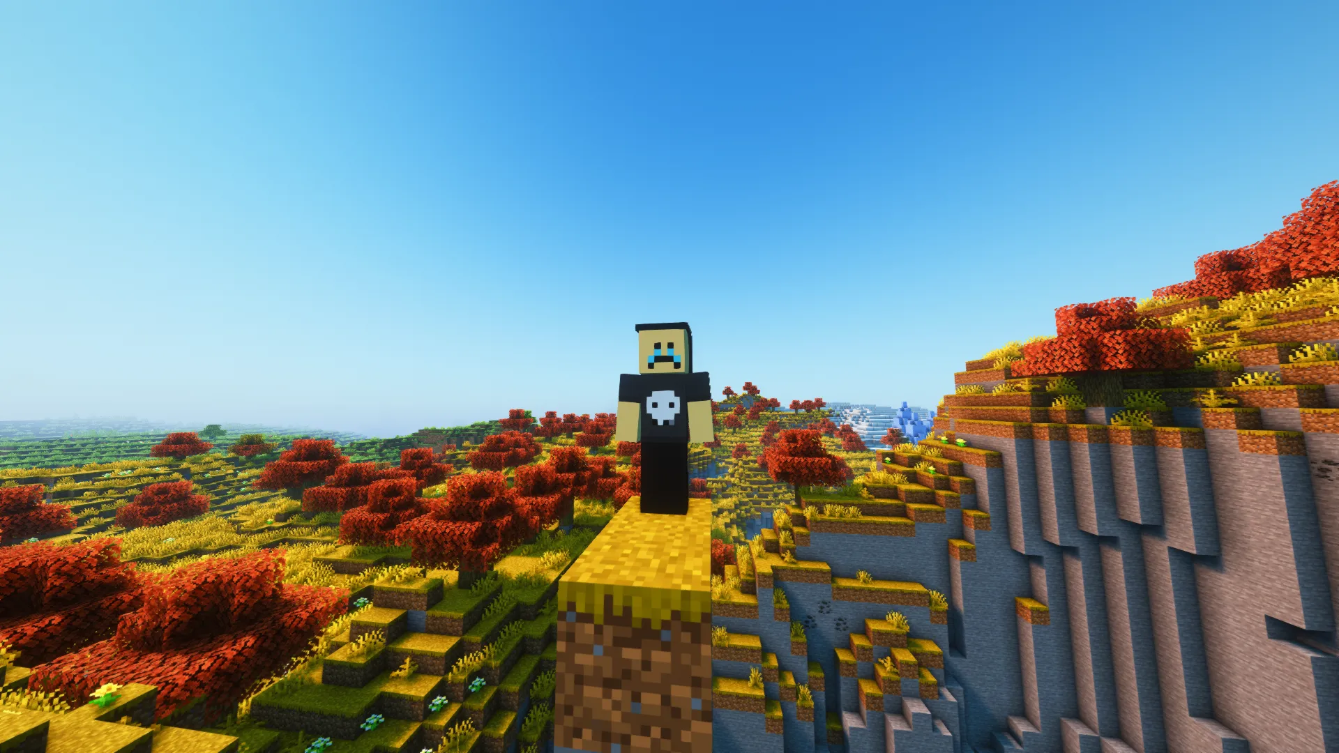 Barkity Into The Verse, Моды, Minecraft