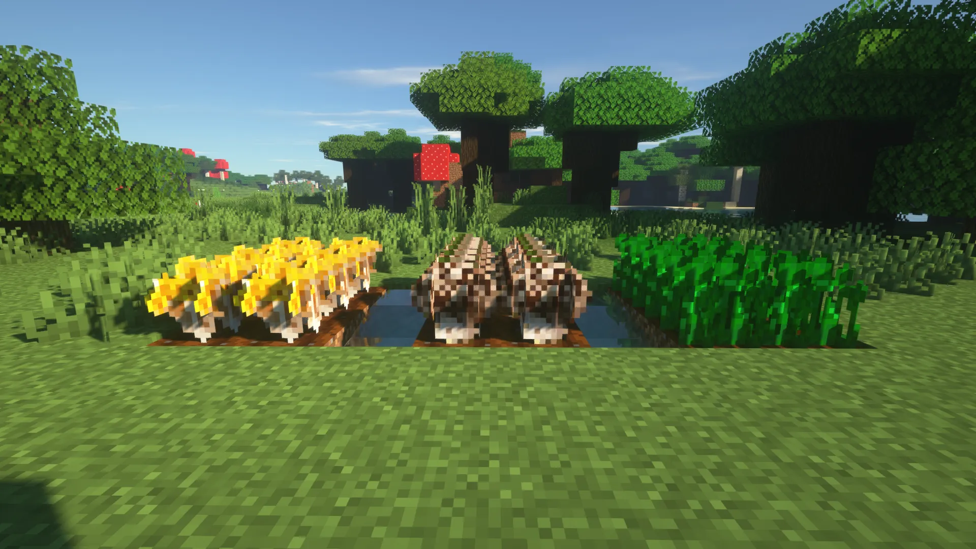 Lil' Beaver, Моды, Minecraft