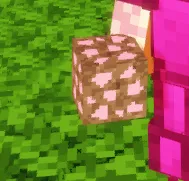 armor,outil,portal,dimension pink and cheater , Моды, Minecraft