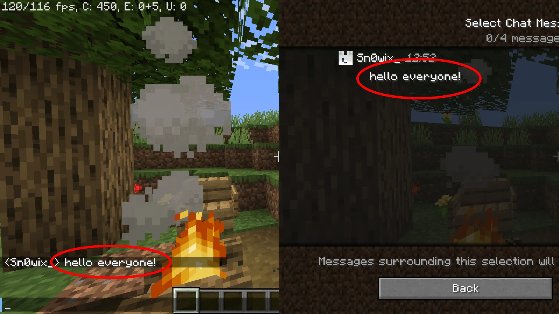 Deleted Chat Reports — скриншот 2 (Плагины, Minecraft)