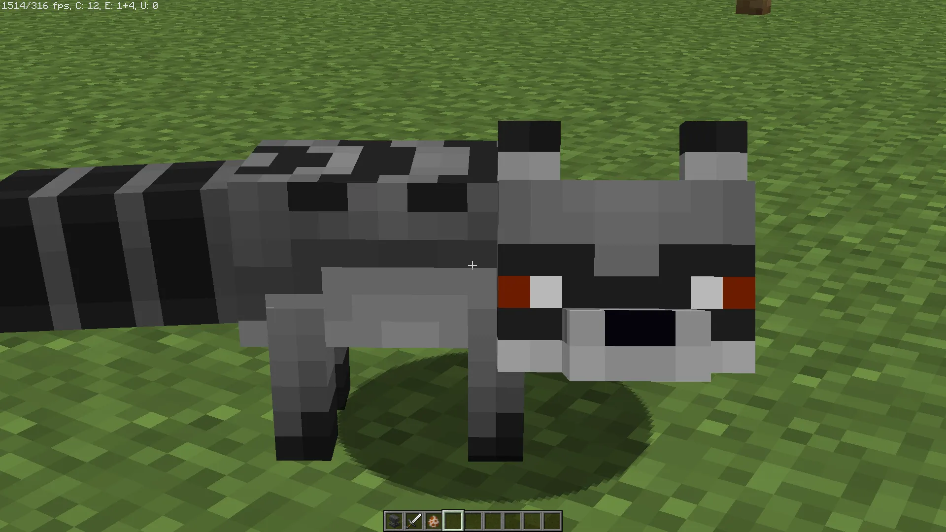 Real Raccoons — скриншот 1 (Текстуры, Minecraft)