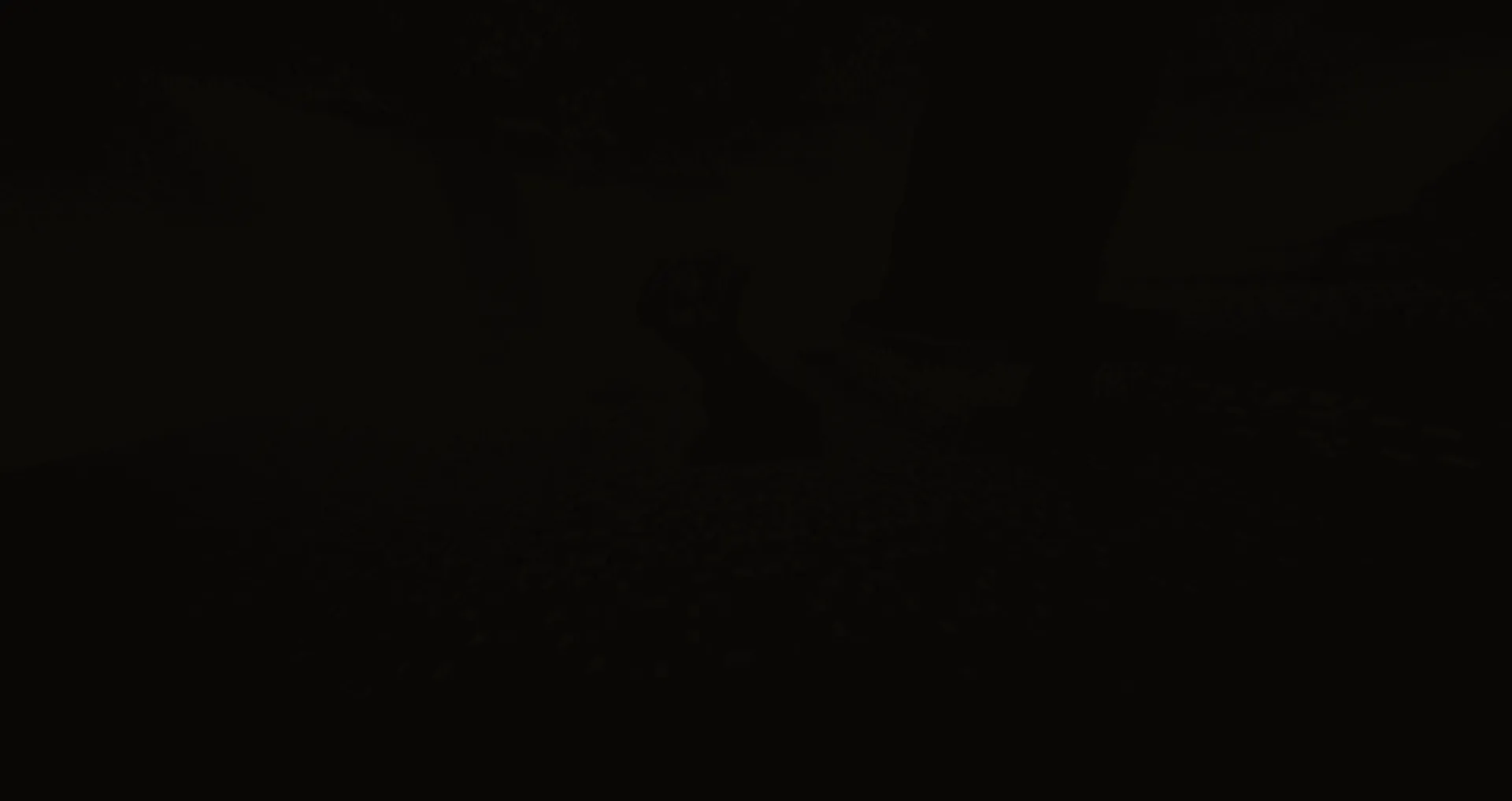 Another Boiled One, Моды, Minecraft