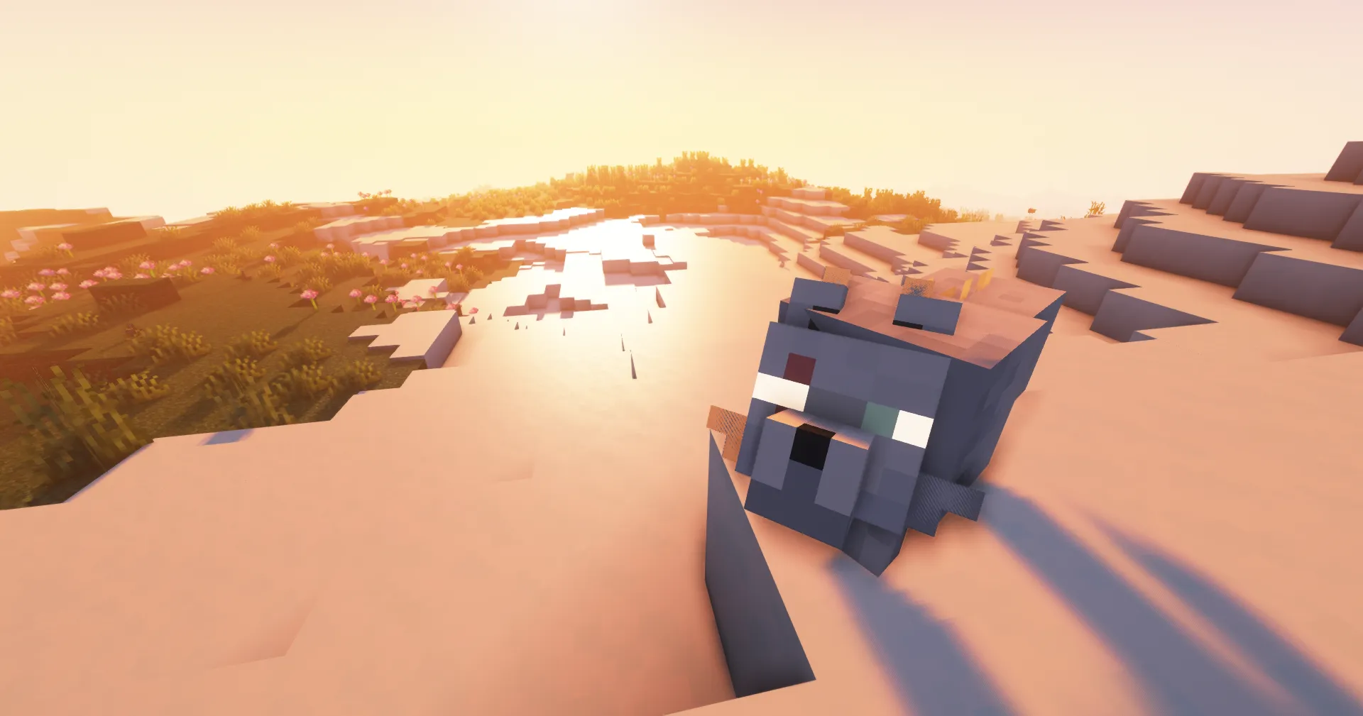 Frog's Better Wolves, Текстуры, Minecraft
