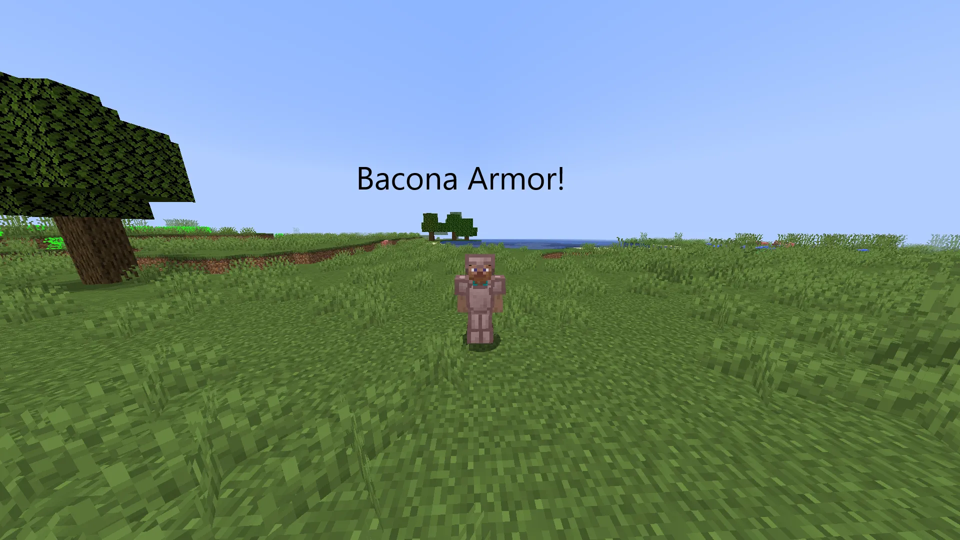 Everything Is In Him — скриншот 3 (Моды, Minecraft)