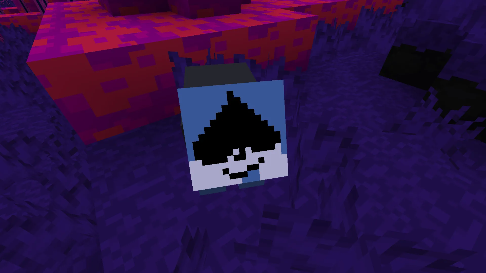 DELTARUNE, Текстуры, Minecraft