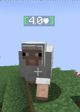 FabricHealthDisplay, Моды, Minecraft