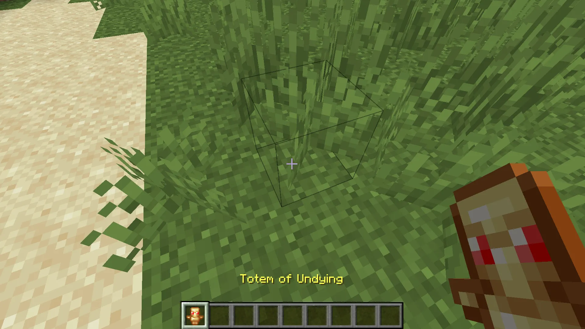savarigna, Текстуры, Minecraft