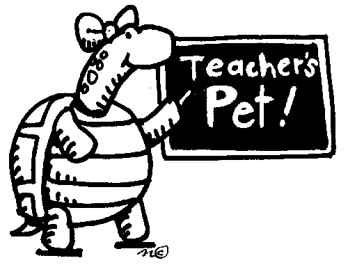 TeachersPet, Плагины, Minecraft