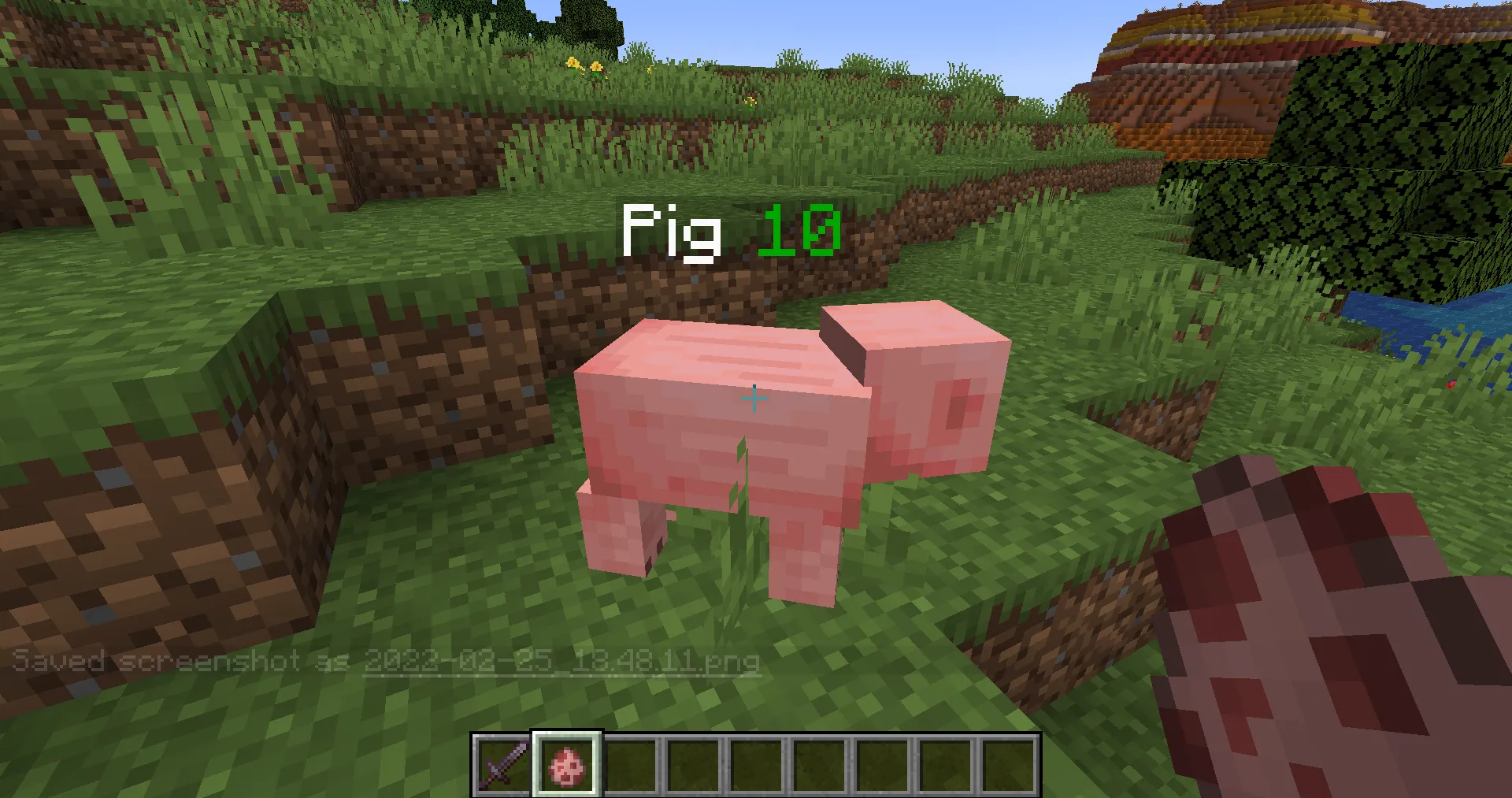 LifeBars, Моды, Minecraft