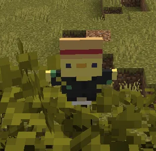 TwixusYT Pack, Текстуры, Minecraft