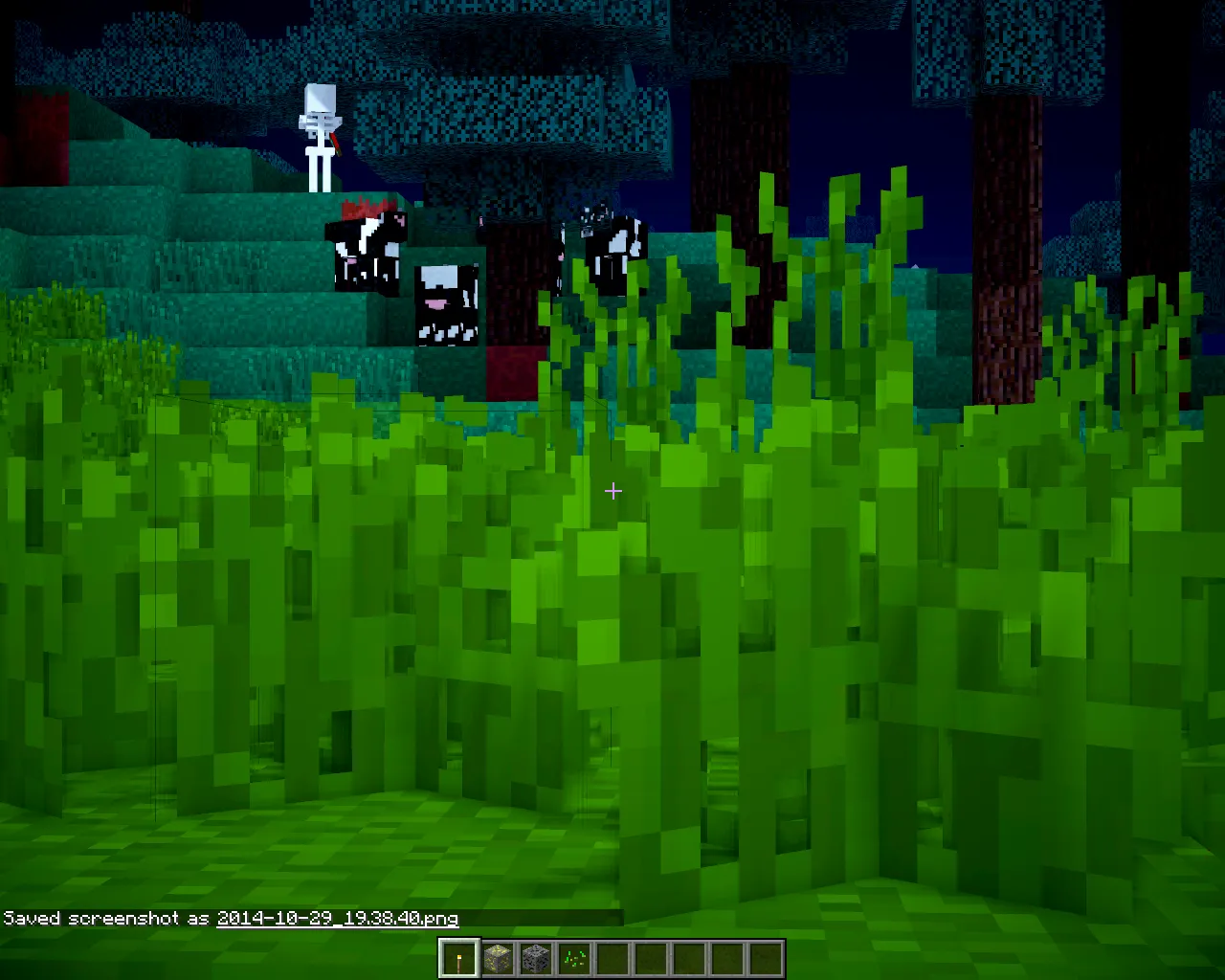RexAce Craft, Текстуры, Minecraft