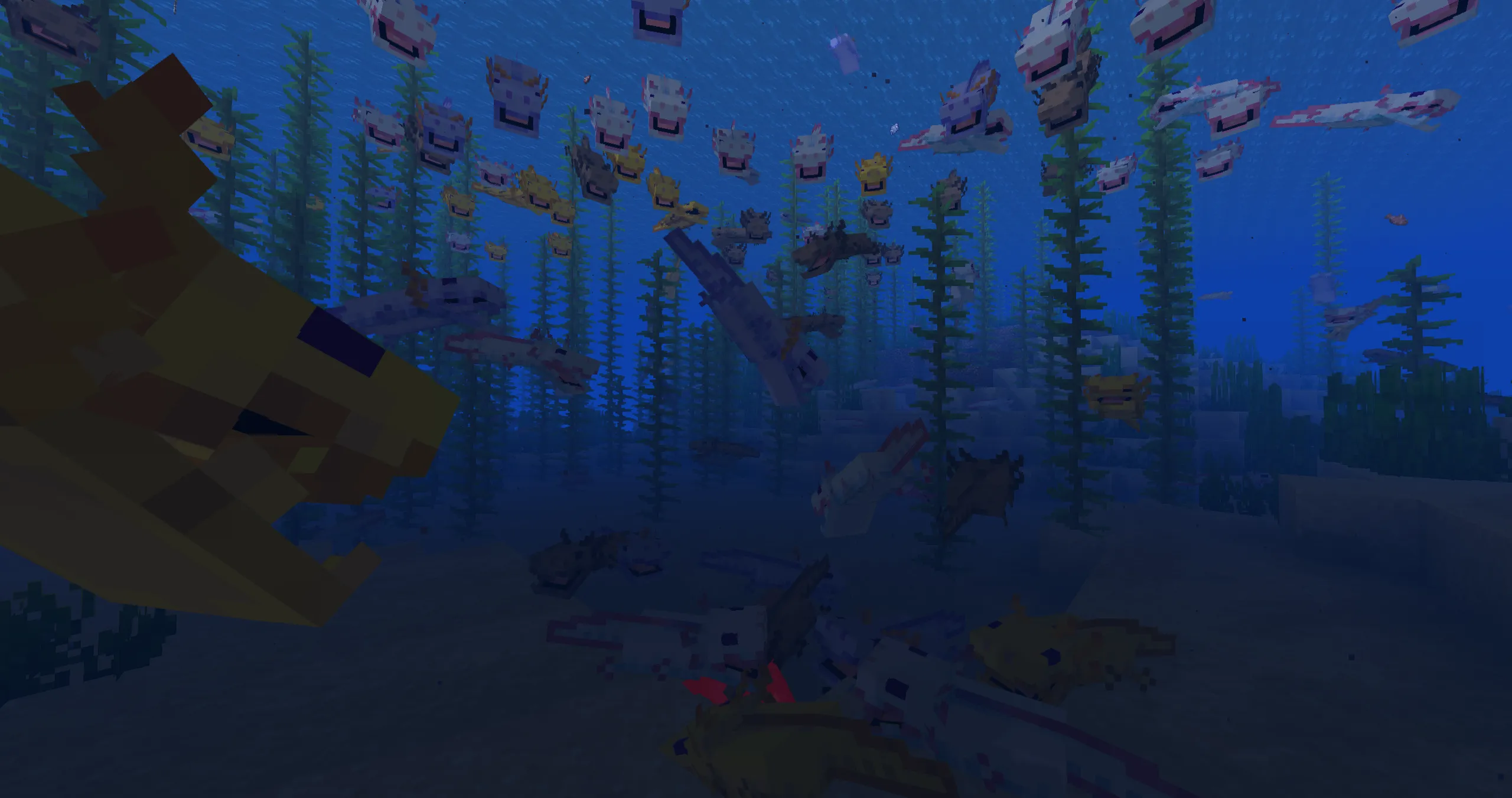 Shiny's Dracolotls, Текстуры, Minecraft