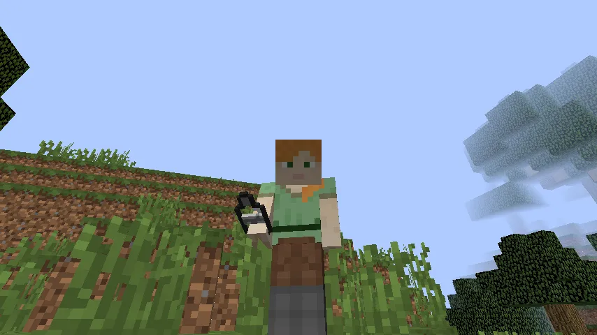 Fairy Kingdom, Моды, Minecraft
