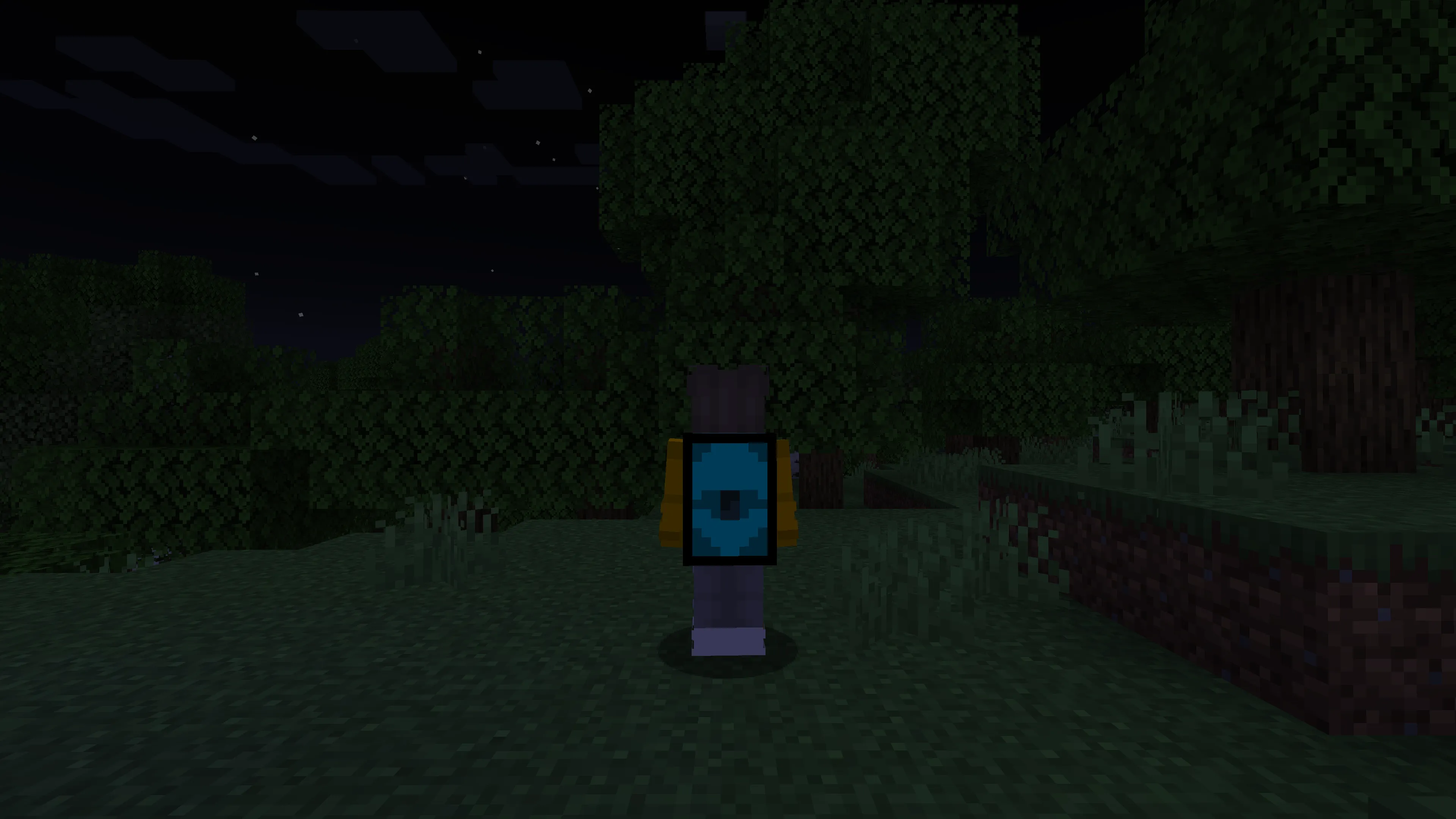 Timmothy's Backpacks!, Моды, Minecraft