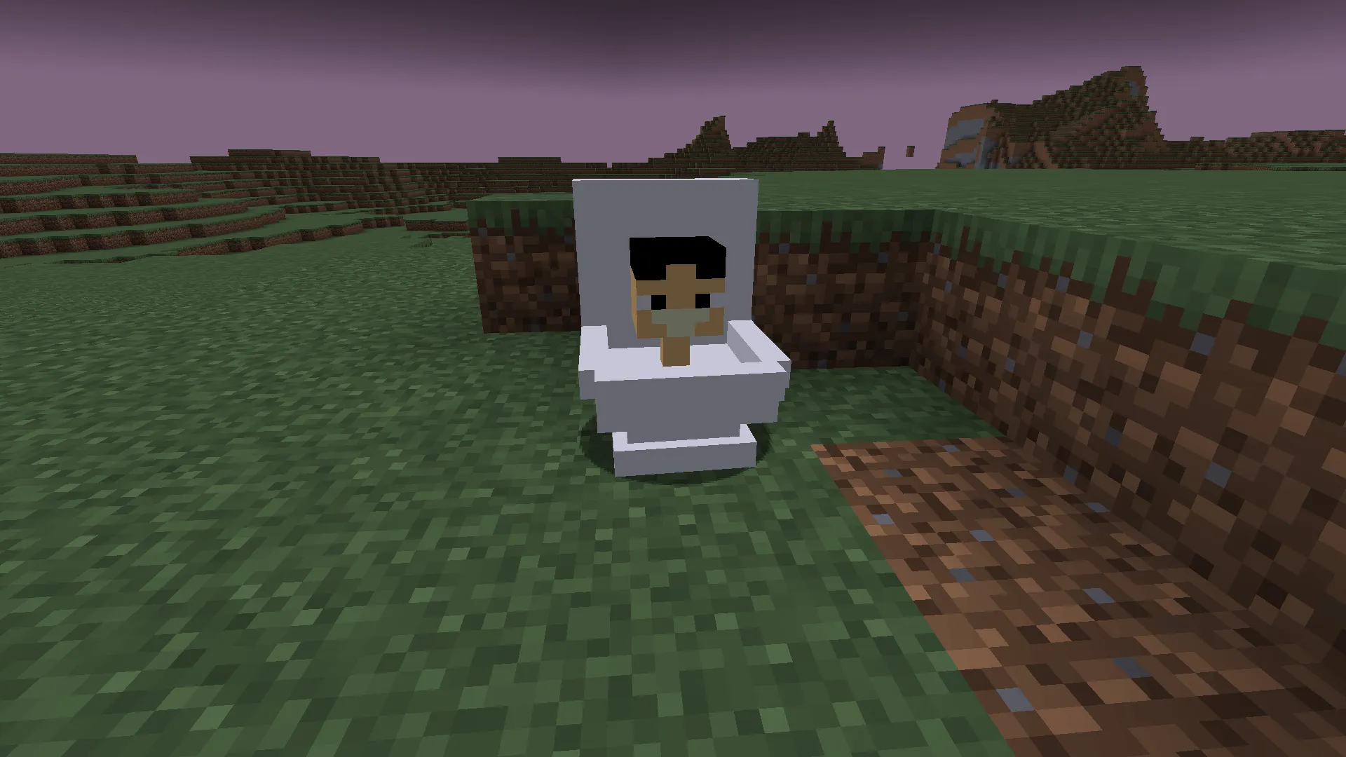 Brainrot Saga, Моды, Minecraft