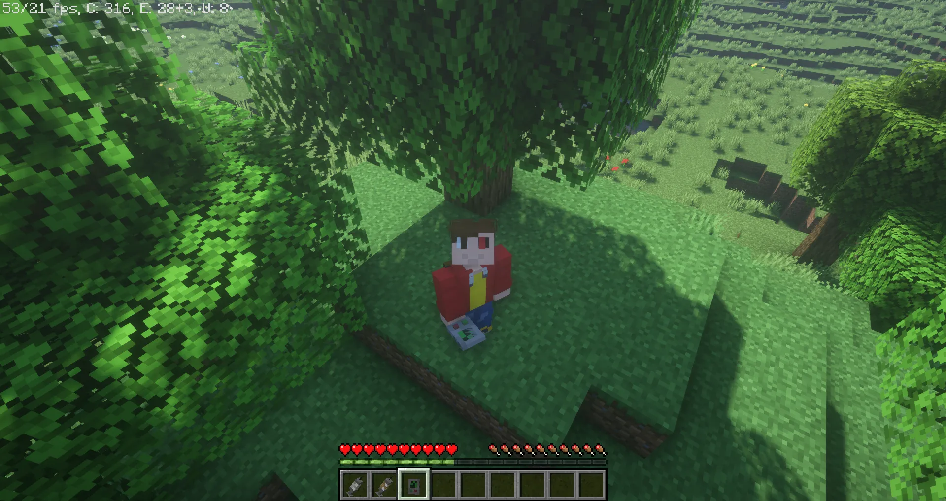 DiabetesMasters, Моды, Minecraft
