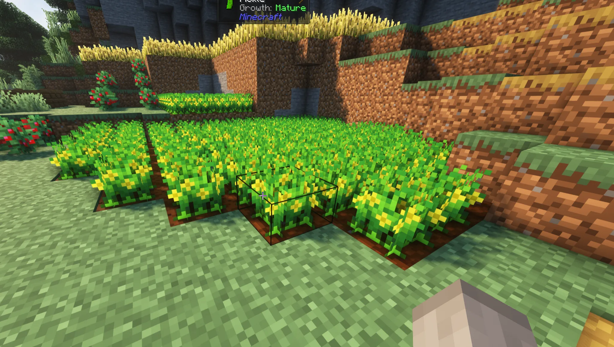 Pickle pa Pickle  — скриншот 2 (Текстуры, Minecraft)