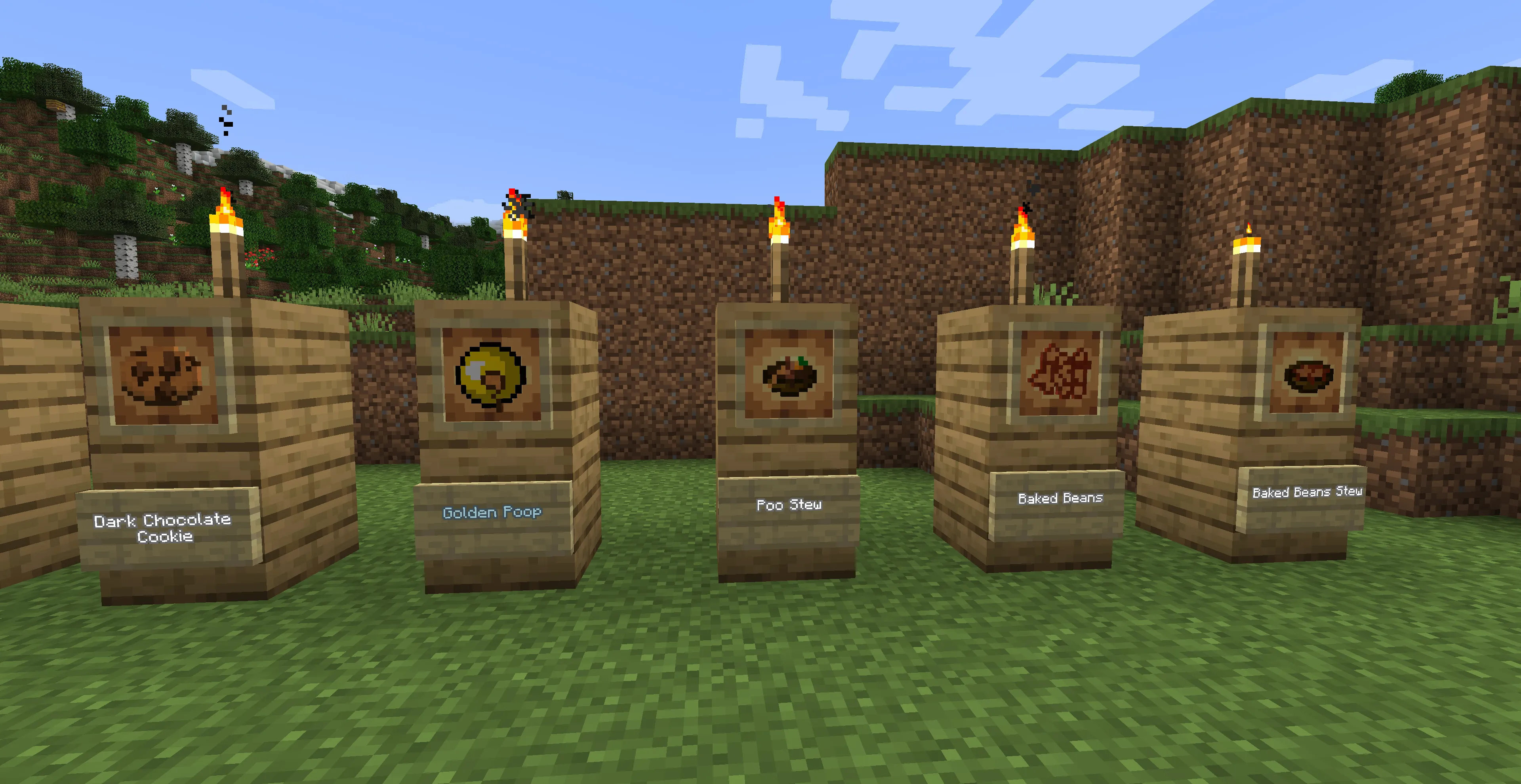 Real Poop Mod, Моды, Minecraft