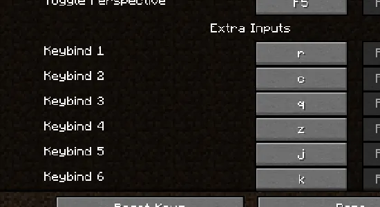 Extra Inputs, Моды, Minecraft