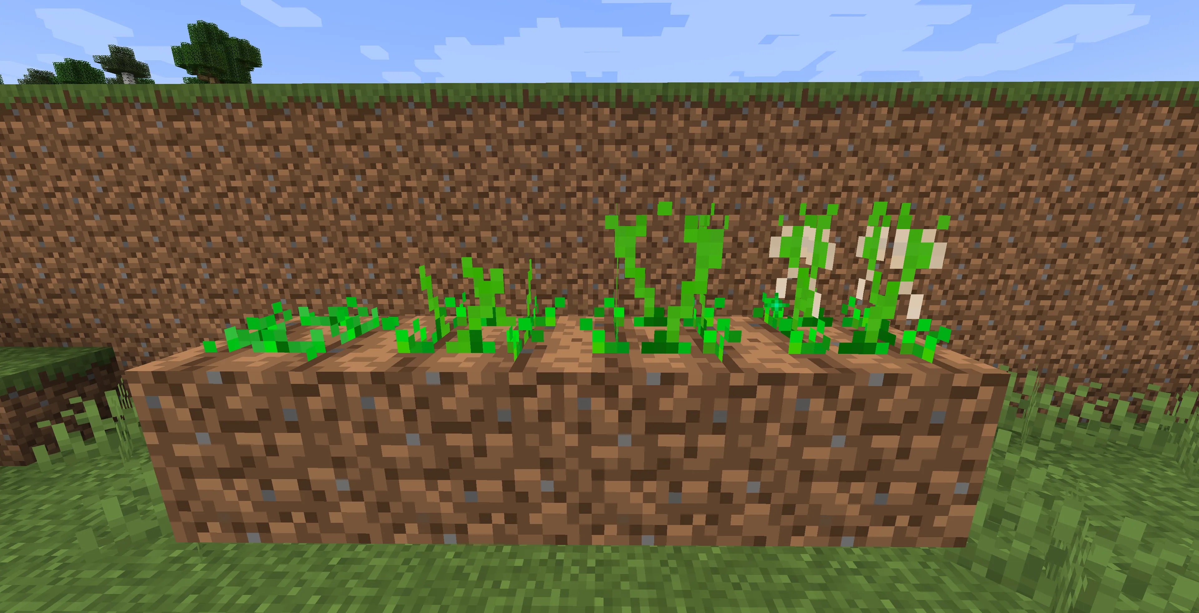 Real Poop Mod, Моды, Minecraft