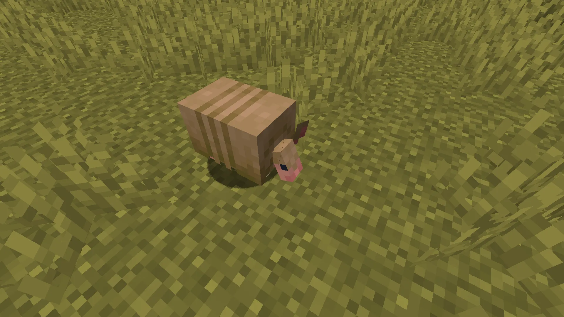 Varied Armadillos, Текстуры, Minecraft