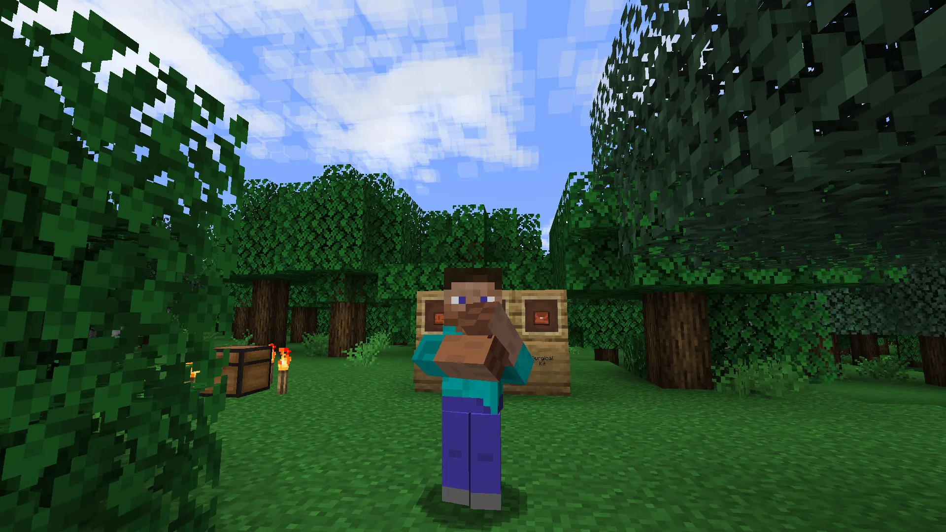 Health-Point! — скриншот 3 (Моды, Minecraft)